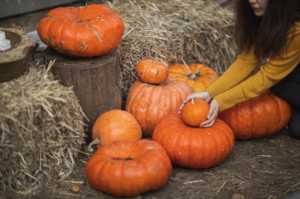 Thanksgiving Decorations